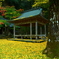 岩戸落葉神社の秋・令和３