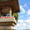ダルマの風景（箕面：勝尾寺）