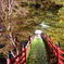 但馬國　養父神社②