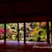 京都洛北　蓮華寺の紅葉（1）