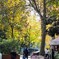 朝の公園～☆