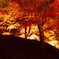 山燃える