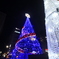 クリスマスツリー