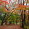 小木津山自然公園散策