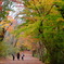 小木津山自然公園2