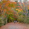 小木津山自然公園4