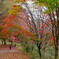 小木津山自然公園9