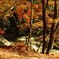 20201122_174023