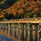 紅葉真っ盛りの嵐山