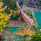 晩秋の大井川鉄道