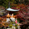 醍醐寺2018③何者？
