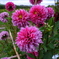 A4612DA2-3801-443E-B540-F646DE8EEB04