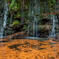 水面の紅葉