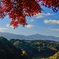 散策577