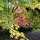 今熊野観音寺