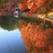 池に映る紅葉