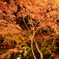 4F010D89-6A2B-4BA7-A121-E47B37B55699