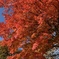 2CC1C3D6-1B7C-4308-9F88-3043EA07F7DF
