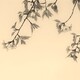 黄昏山桜