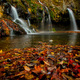 Waterfall of autumn color