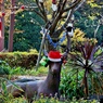 カウントダウンクリスマス：シカ他