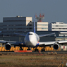 「SKY」NCA 747-8KZF コロナ禍で繁盛！