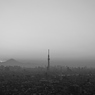 Mt. Fuji ・TOKYO SKYTREE