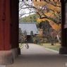 紅葉　５