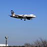 「群青」オーロラ航空　A319-111  到着です