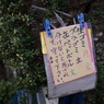 ルール