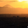 大都会と富士山（2/5）