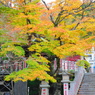 大山阿夫利神社の紅葉