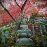 大山寺の紅葉