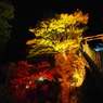 大山阿夫利神社ライトアップ