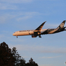 「青い日」NZ' 787-9 ZK-NZC  着陸します