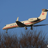「青い日」プライベートガルフG550  着陸します