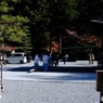 小国神社　3