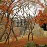 紅葉ダム(三保ダム)