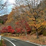 丹沢湖紅葉ロード①