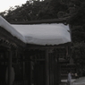 静かな歩み