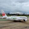JAL 53