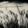Cloudy River 2