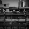 世代