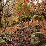 晩秋の山間の公園風景②