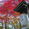 寺 風景