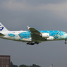 「青の空」Flying Honu A380 JA382A  Landing