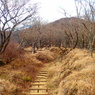 ヤビツ峠～塔ノ岳