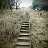ヤビツ峠～塔ノ岳