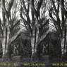 「FujiのマイクロフィルムHR-20の試写＆試現像」 (film:HR20)