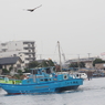 金沢八景平潟湾